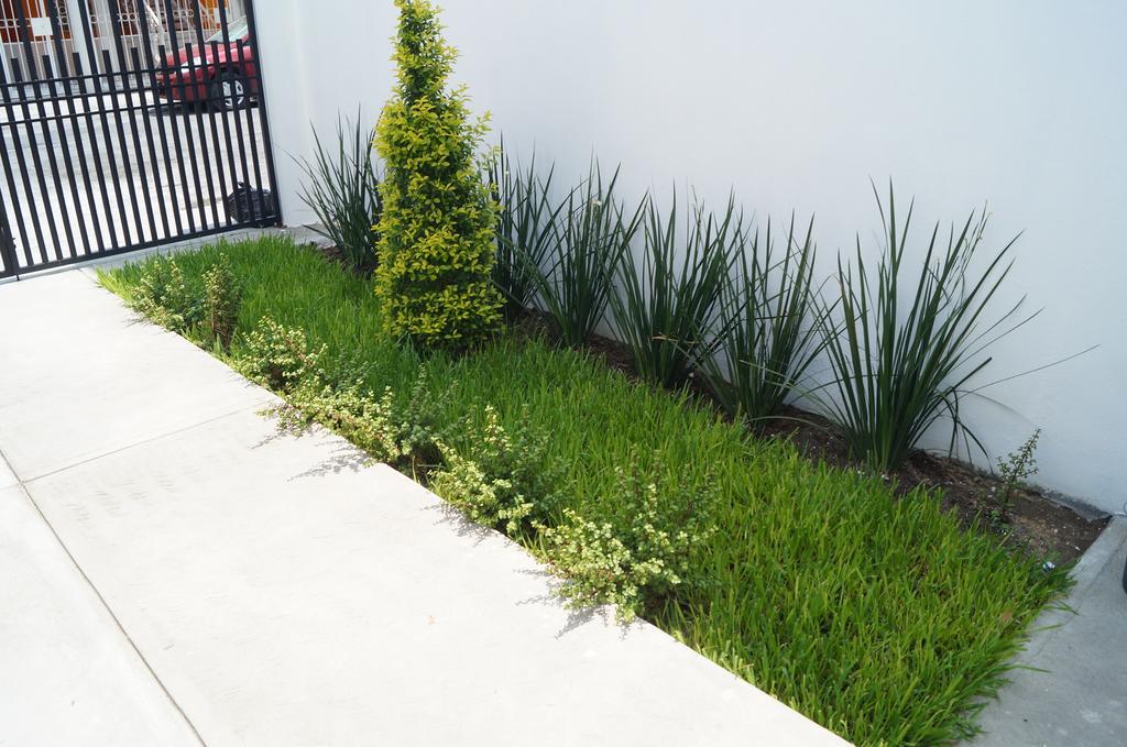 Mv Suites Monterrey Luaran gambar